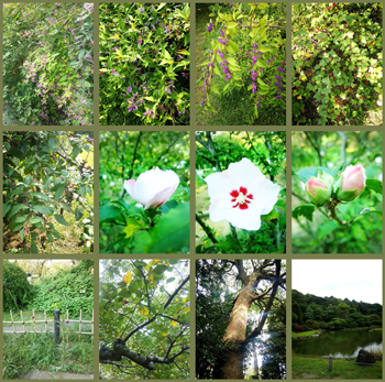 ���ΐ�A�����������