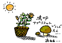 �j�ăA�v���R�b�g�u�����h����E�E�E�������E�E�E